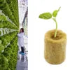 PlantSpray™ – Maak van Elke Fles een Krachtige Tuinsproeier